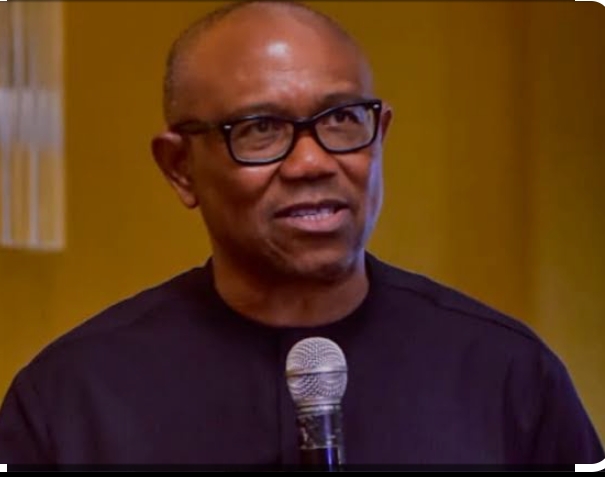 Screenshot_20250219-081638