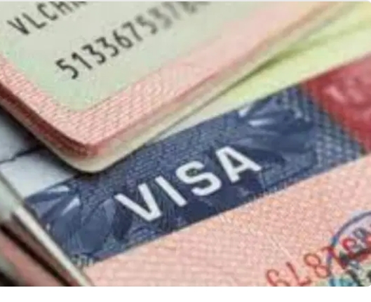 Screenshot_20250221-172701