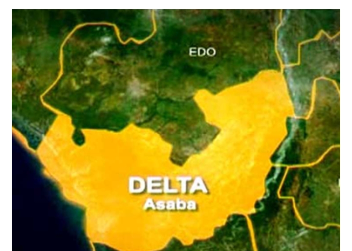 Screenshot_20250225-132809