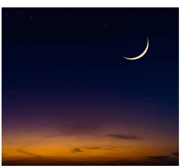 Screenshot_20250227-123613