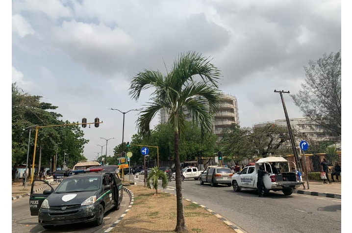 Screenshot_20250303-130727