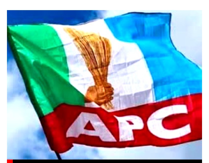 Screenshot_20250308-083253