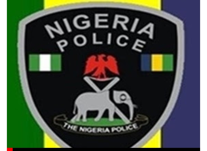 Screenshot_20250309-082126