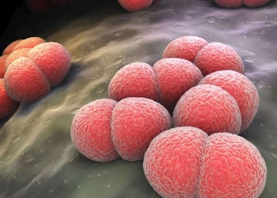 Screenshot_20250311-164240