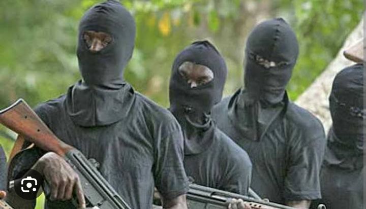 Screenshot_20250312-235702