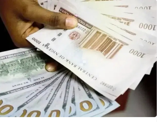 Screenshot_20250313-081303