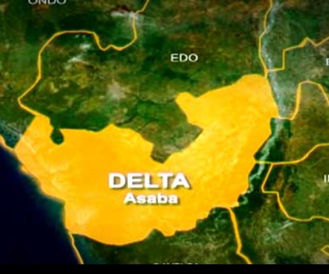 Screenshot_20250313-102512