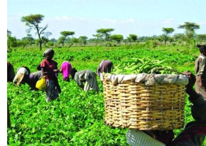 Screenshot_20250315-044625