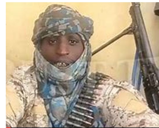 Screenshot_20250315-051334