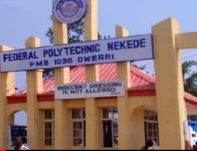 Screenshot_20250315-093644