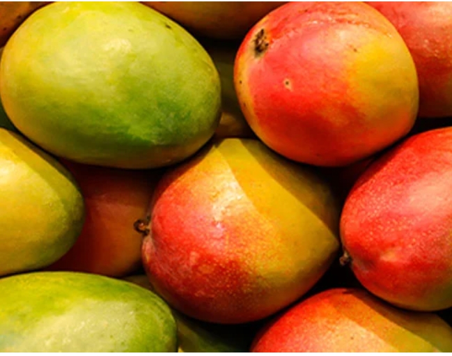 Screenshot_20250328-074130