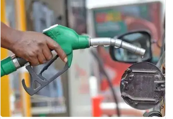 Screenshot_20250329-070531