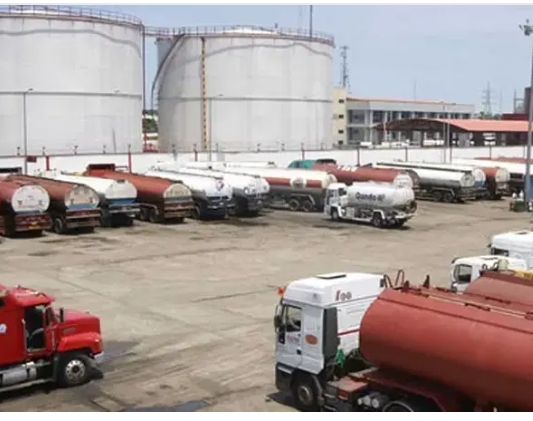 Screenshot_20250331-080314