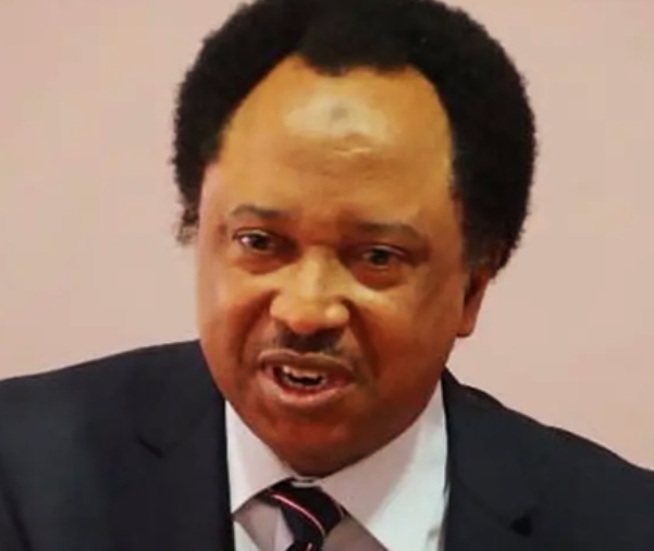 Screenshot_20250331-095556