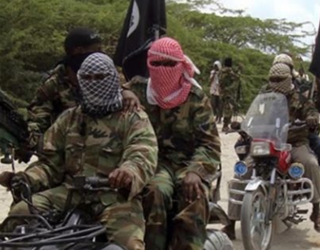 Screenshot_20250328-074803