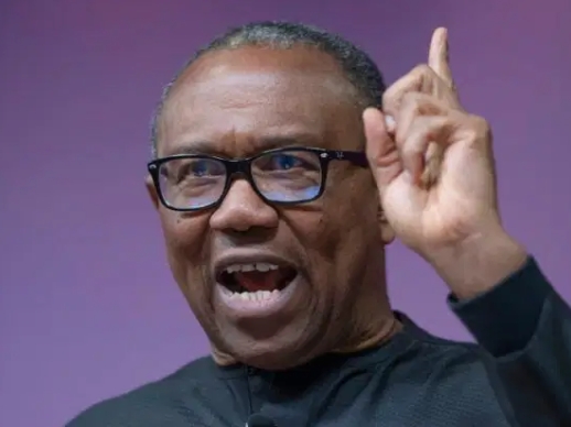 Screenshot_20250410-041113