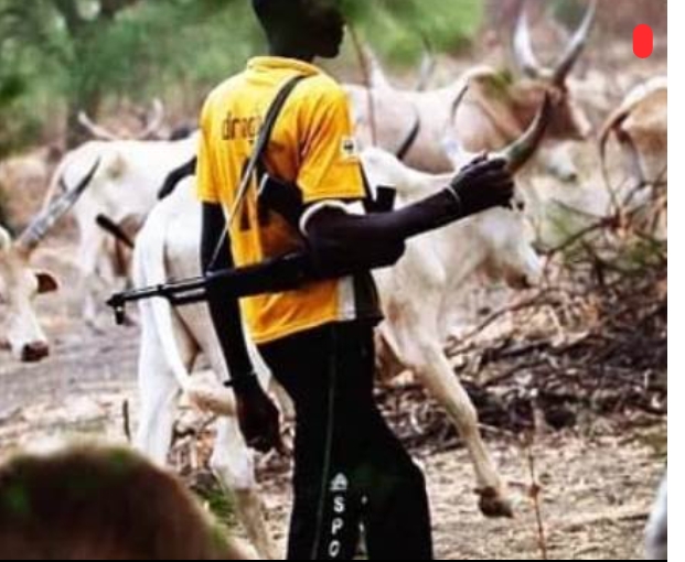 Screenshot_20250411-060723