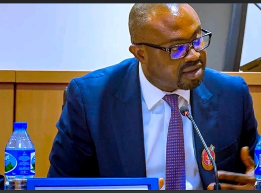 Screenshot_20250413-075232