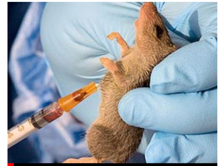 Screenshot_20250416-064605