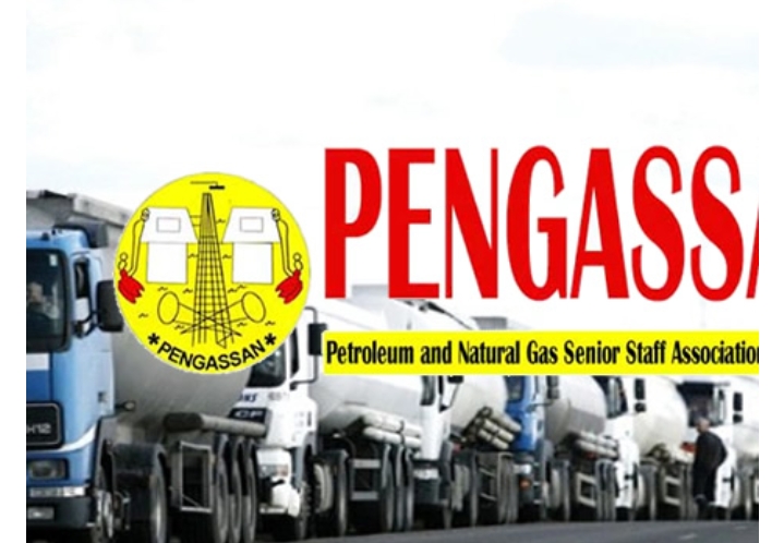 Screenshot_20250416-070321