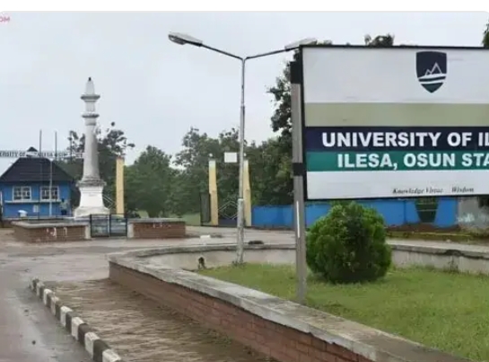 Screenshot_20250420-084347