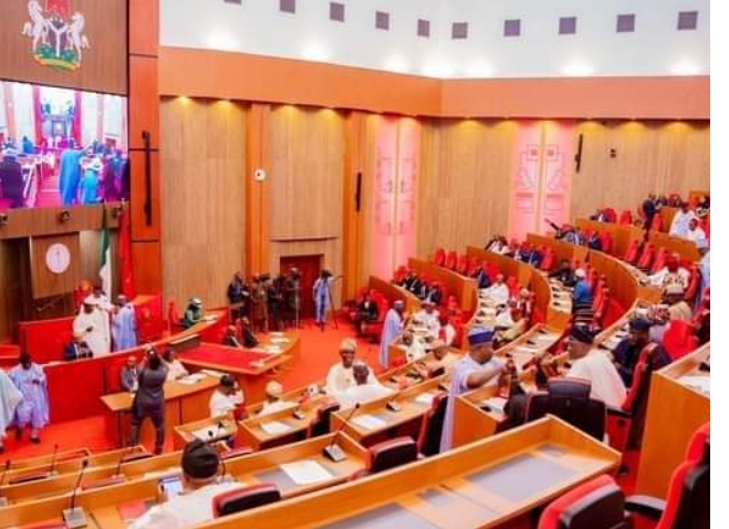 Screenshot_20250421-065955