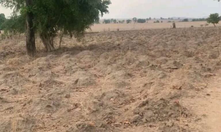 MixCollage-01-May-2025-12-00-PM-9667-1000x600-1