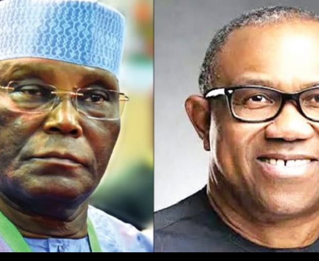 Screenshot_20250502-061637