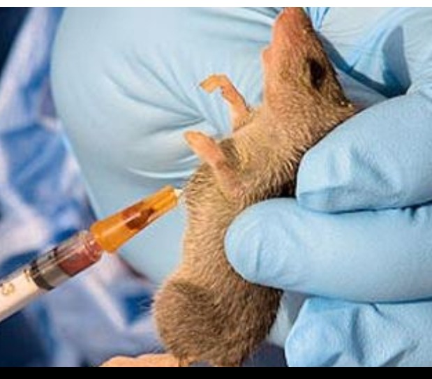 Screenshot_20250514-123448