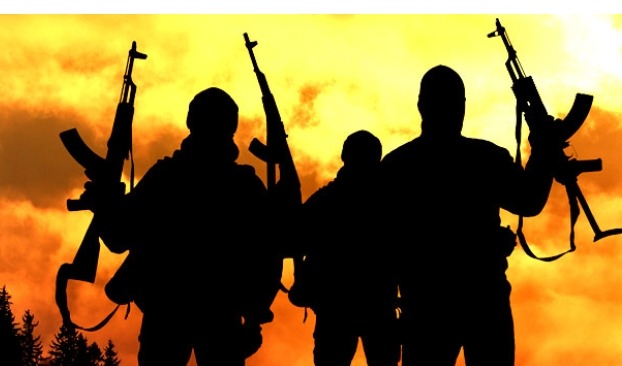 Screenshot_20250518-104622