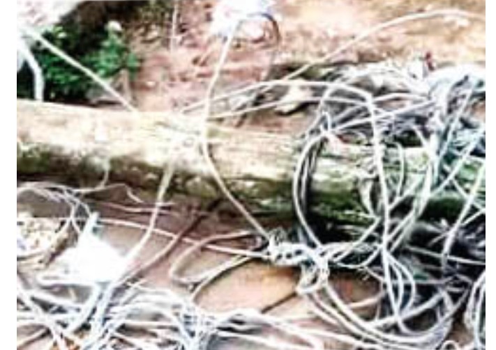 Screenshot_20250527-110211