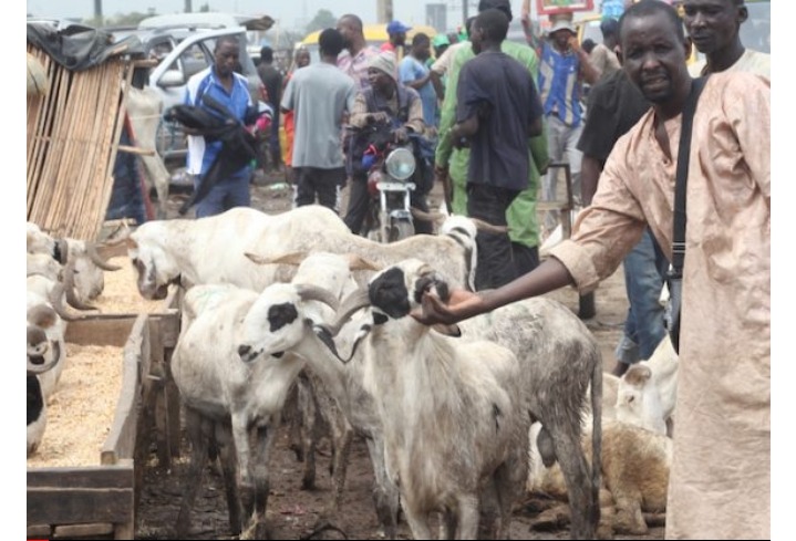 Screenshot_20250528-074132