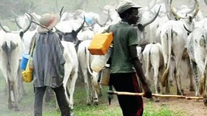 image_editor_output_image1853040672-1683812130796