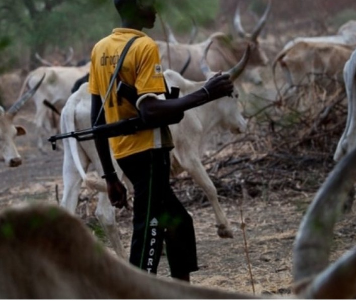 Screenshot_20250602-091811