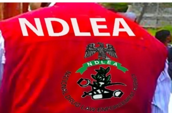 Screenshot_20250622-154040