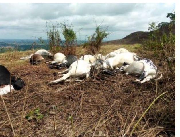 Screenshot_20250622-155942