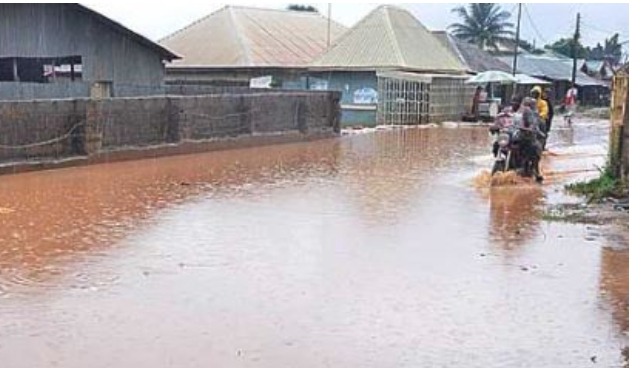 Screenshot_20250709-051154