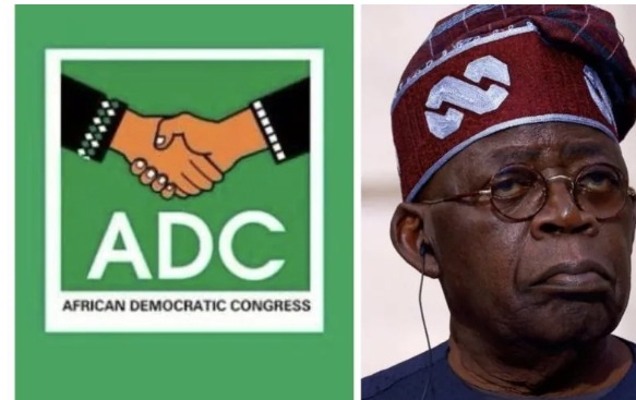 Screenshot_20250720-115603