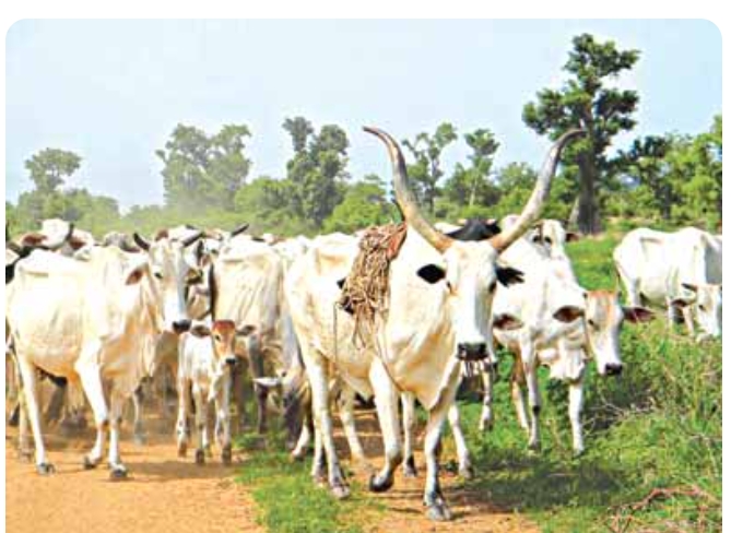 Screenshot_20250802-154256