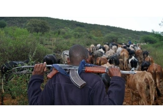 Screenshot_20250803-061306