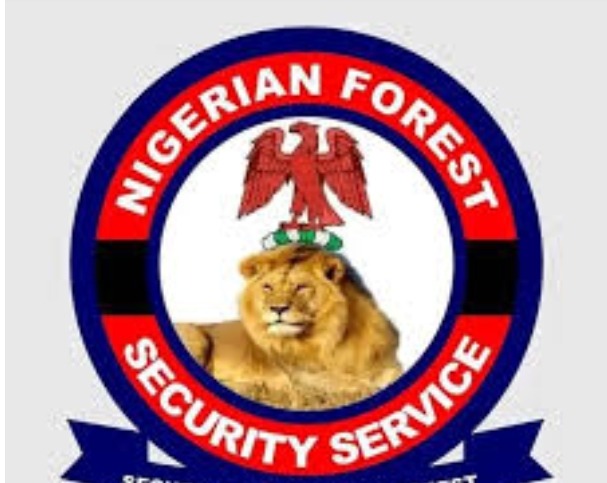 Screenshot_20250809-110013