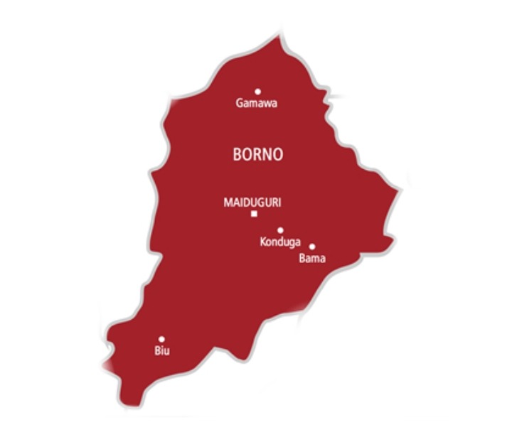 Screenshot_20250817-023533