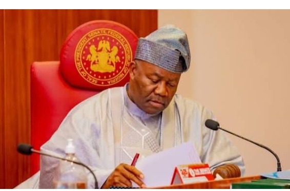 Screenshot_20251003-130116