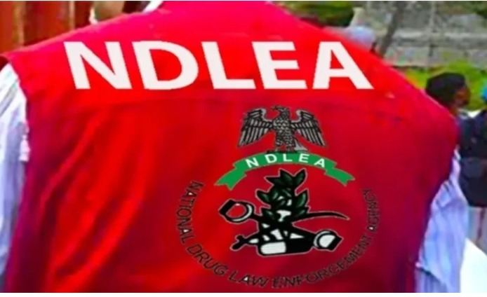 Screenshot_20251022-151755