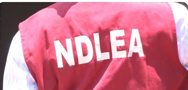 Screenshot_20251030-172437