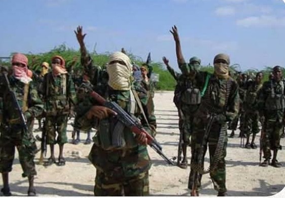 Screenshot_20251125-105143