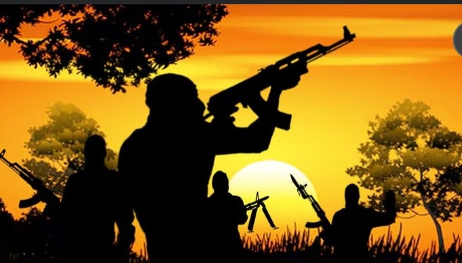 Screenshot_20251127-154247