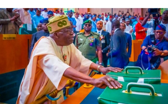 Screenshot_20251218-130849