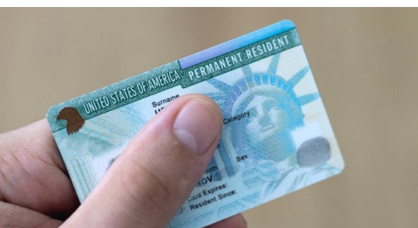 Screenshot_20251220-132145