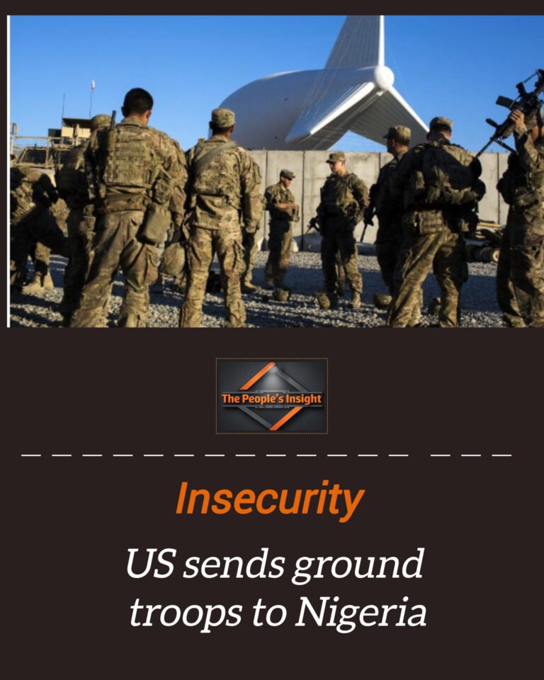 InShot_20260204_101548789